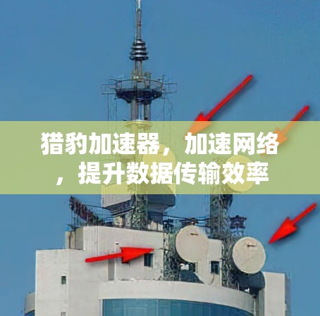 猎豹加速器，加速网络，提升数据传输效率