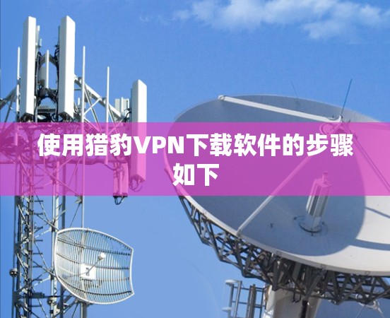 使用猎豹VPN下载软件的步骤如下