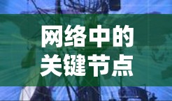 网络中的关键节点，一元网络节点