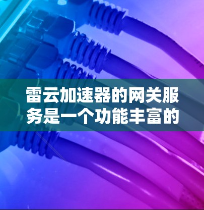 雷云加速器的网关服务是一个功能丰富的网络加速工具，提供多种服务以满足不同用户的需求。以下是详细的使用指南和注意事项