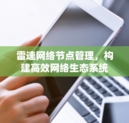 雷速网络节点管理，构建高效网络生态系统