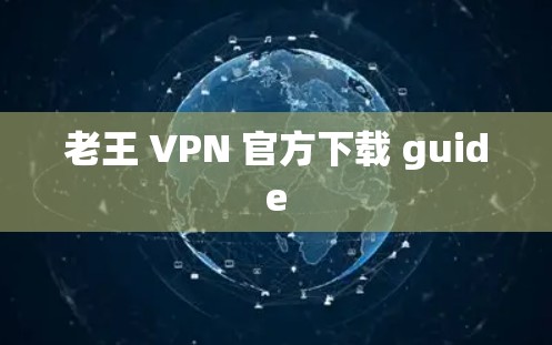 老王 VPN 官方下载 guide 老王 VPN 官方下载 guide