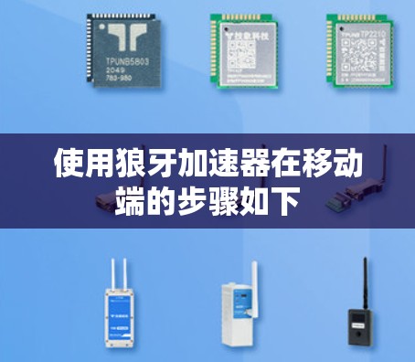 使用狼牙加速器在移动端的步骤如下