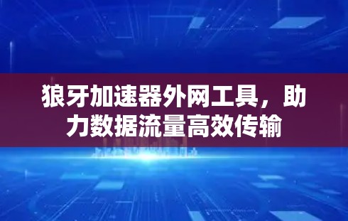 狼牙加速器外网工具,助力数据流量高效传输 狼牙加速器外网工具,助力数据流量高效传输