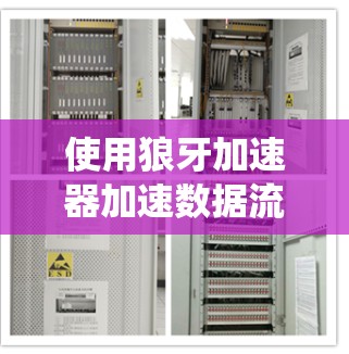 使用狼牙加速器加速数据流量需要一步步学习和调整参数。以下是一个有条理的教程指南,帮助你系统地使用狼牙加速器 使用狼牙加速器加速数据流量需要一步步学习和调整参数。以下是一个有条理的教程指南,帮助你系统地使用狼牙加速器