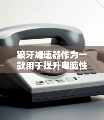 狼牙加速器作为一款用于提升电脑性能的软件,主要用于加速游戏、软件优化或日常使用。以下是构建一个高效、可靠的狼牙加速器端的详细步骤 狼牙加速器作为一款用于提升电脑性能的软件,主要用于加速游戏、软件优化或日常使用。以下是构建一个高效、可靠的狼牙加速器端的详细步骤