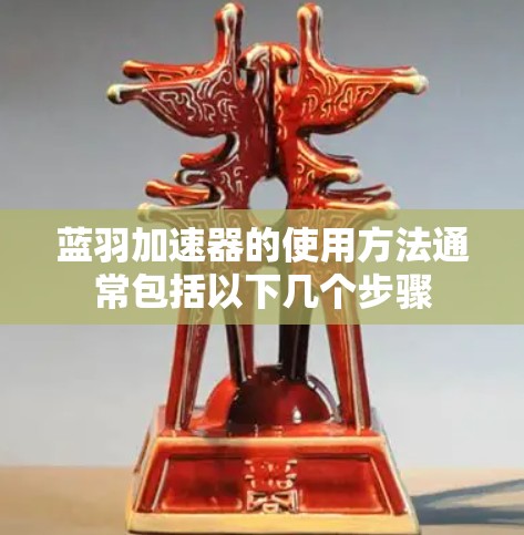 蓝羽加速器的使用方法通常包括以下几个步骤 蓝羽加速器的使用方法通常包括以下几个步骤