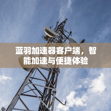 蓝羽加速器客户端,智能加速与便捷体验 蓝羽加速器客户端,智能加速与便捷体验