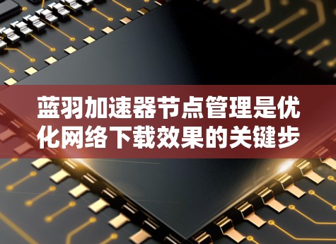 蓝羽加速器节点管理是优化网络下载效果的关键步骤。以下是对蓝羽加速器节点管理的详细指南