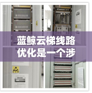 蓝鲸云梯线路优化是一个涉及多个方面的系统优化,旨在提高系统的性能、效率和用户体验。以下是优化的关键点和步骤 蓝鲸云梯线路优化是一个涉及多个方面的系统优化,旨在提高系统的性能、效率和用户体验。以下是优化的关键点和步骤