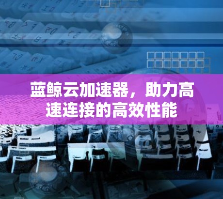 蓝鲸云加速器，助力高速连接的高效性能