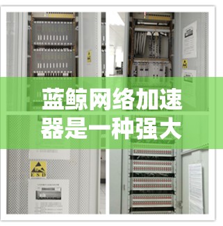 蓝鲸网络加速器是一种强大的工具，用于加速视频、音频等网络流媒体。为了进一步优化它，可以按照以下步骤进行调整和优化