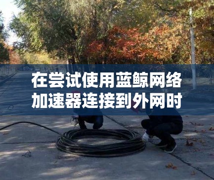 在尝试使用蓝鲸网络加速器连接到外网时，遇到无法连接到外网的提示，可能需要以下步骤来解决问题