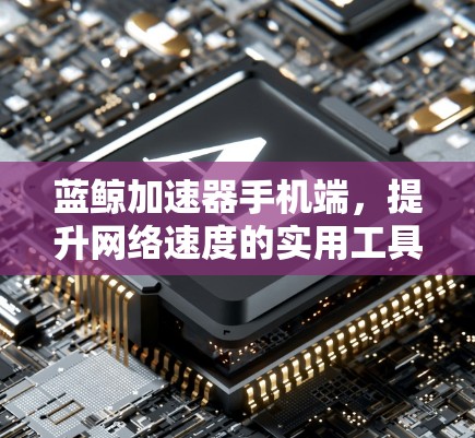 蓝鲸加速器手机端，提升网络速度的实用工具