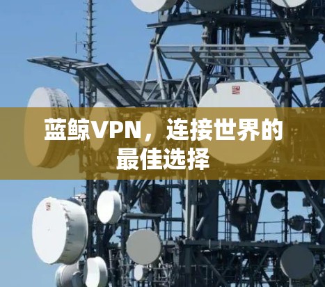 蓝鲸VPN，连接世界的最佳选择