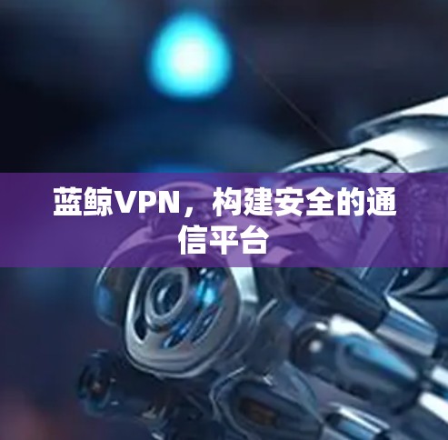 蓝鲸VPN,构建安全的通信平台 蓝鲸VPN,构建安全的通信平台