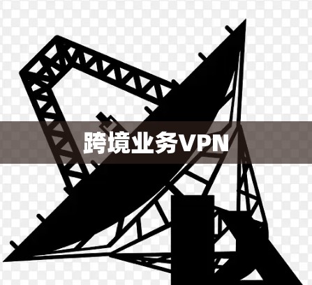 跨境业务VPN