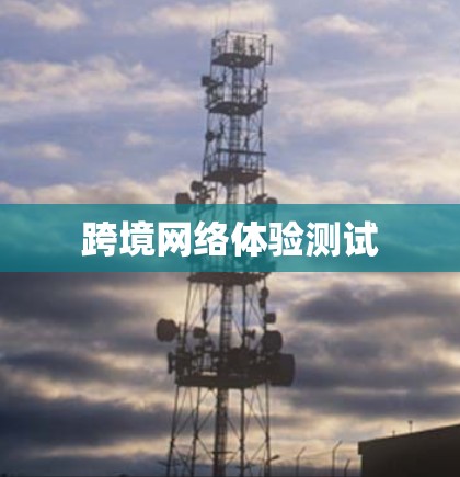 跨境网络体验测试