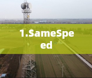 1.SameSpeed