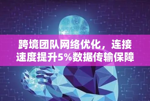 跨境团队网络优化，连接速度提升5%数据传输保障1%