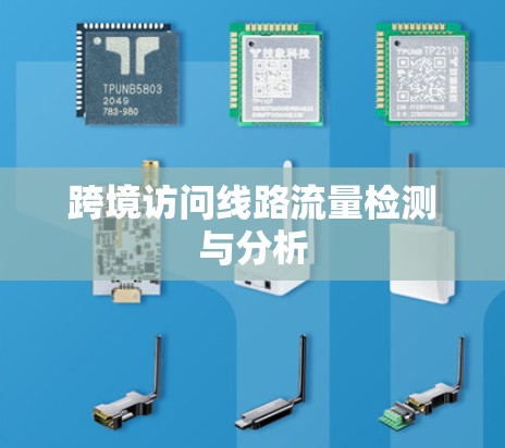 跨境访问线路流量检测与分析