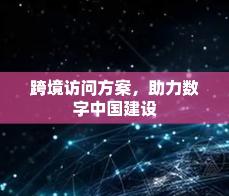跨境访问方案，助力数字中国建设