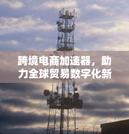 跨境电商加速器，助力全球贸易数字化新标杆