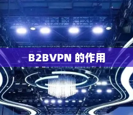 B2BVPN 的作用