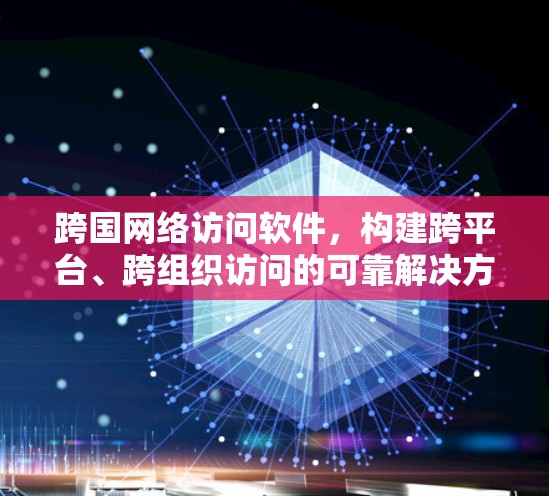 跨国网络访问软件，构建跨平台、跨组织访问的可靠解决方案