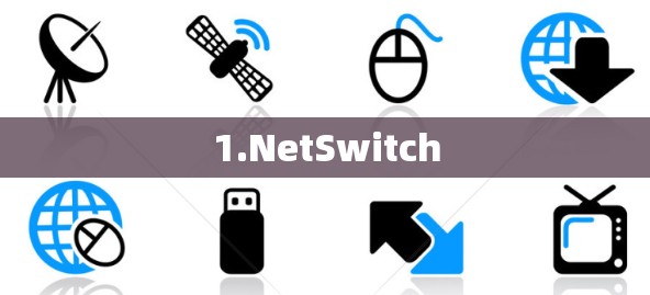 1.NetSwitch