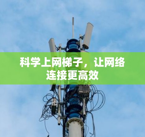 科学上网梯子，让网络连接更高效