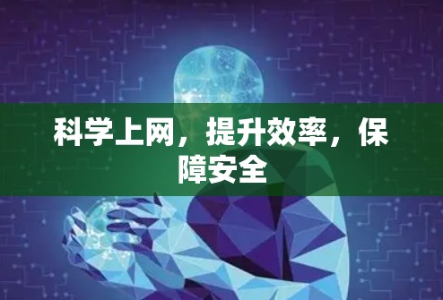 科学上网，提升效率，保障安全