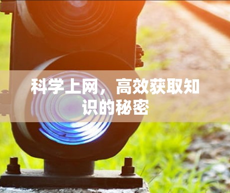 科学上网，高效获取知识的秘密