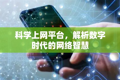 科学上网平台，解析数字时代的网络智慧