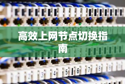 高效上网节点切换指南