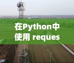 在Python中使用 requests