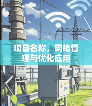 项目名称，网络管理与优化应用