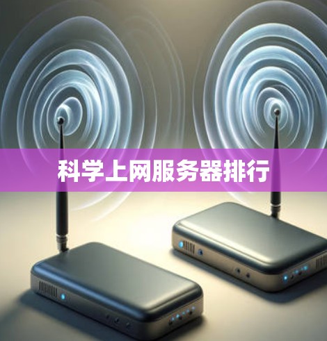 科学上网服务器排行
