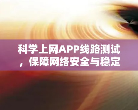 科学上网APP线路测试，保障网络安全与稳定