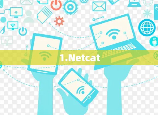 1.Netcat