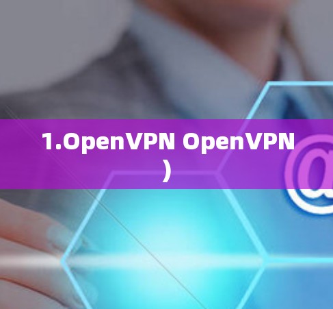 1.OpenVPN OpenVPN)