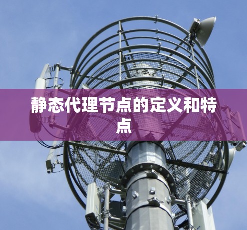 静态代理节点的定义和特点