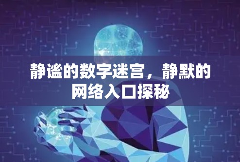 静谧的数字迷宫，静默的网络入口探秘