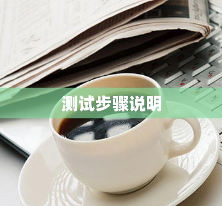 测试步骤说明