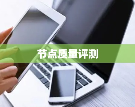 节点质量评测
