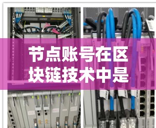 节点账号在区块链技术中是一个关键角色，主要负责参与和管理交易、数据处理和共识机制。以下是关于节点账号的详细说明