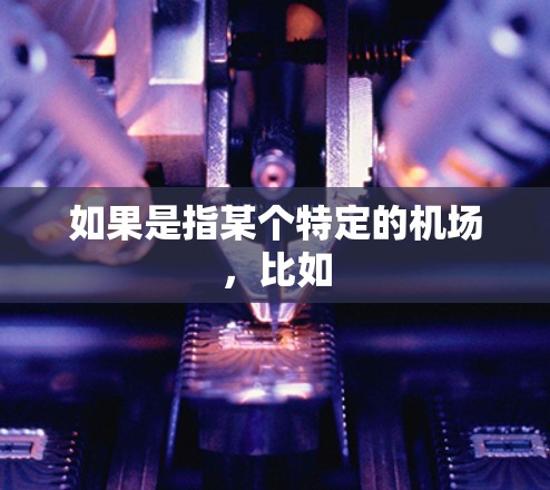 如果是指某个特定的机场，比如