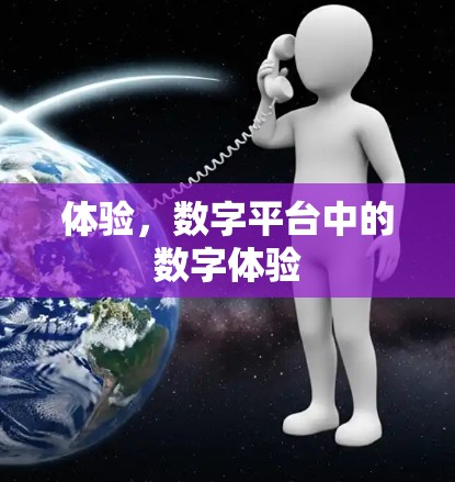 体验，数字平台中的数字体验