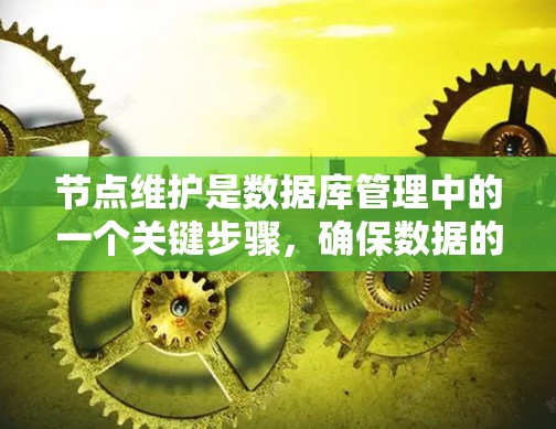 节点维护是数据库管理中的一个关键步骤，确保数据的完整性并支持故障恢复。以下是对节点维护的详细分析