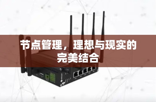 节点管理，理想与现实的完美结合